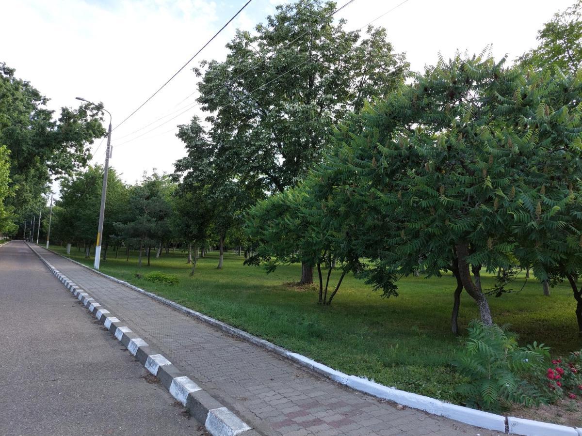 Vila De Pe Lac אמארה מראה חיצוני תמונה